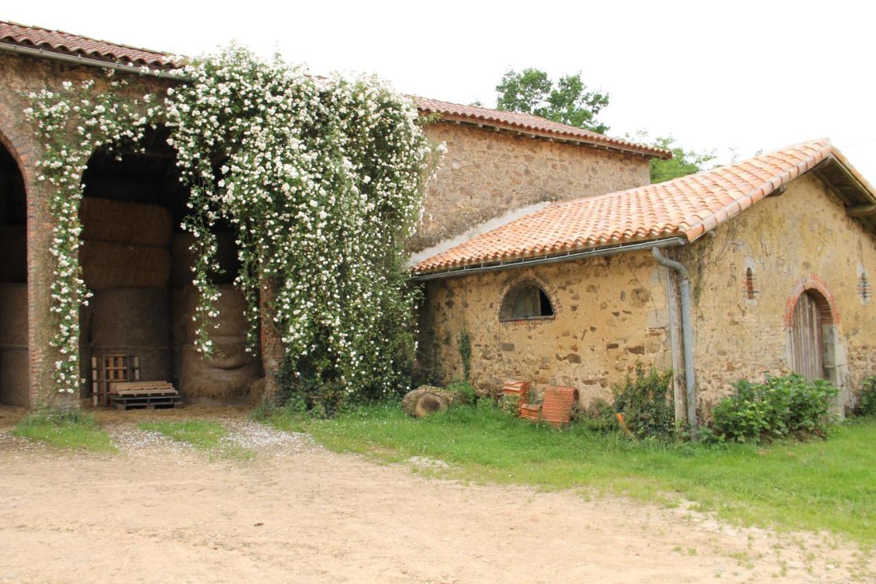 Villa Domaine des Roches Blanches à Le Pin  Extérieur photo