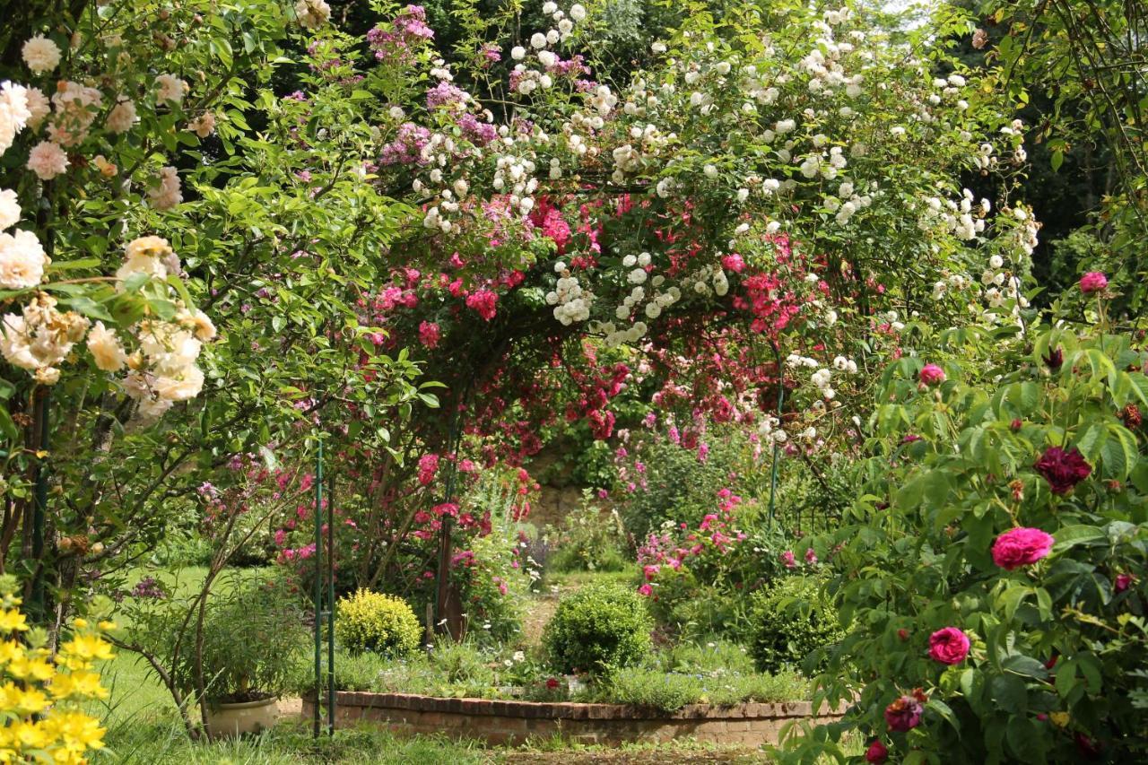 Villa Domaine des Roches Blanches à Le Pin  Extérieur photo