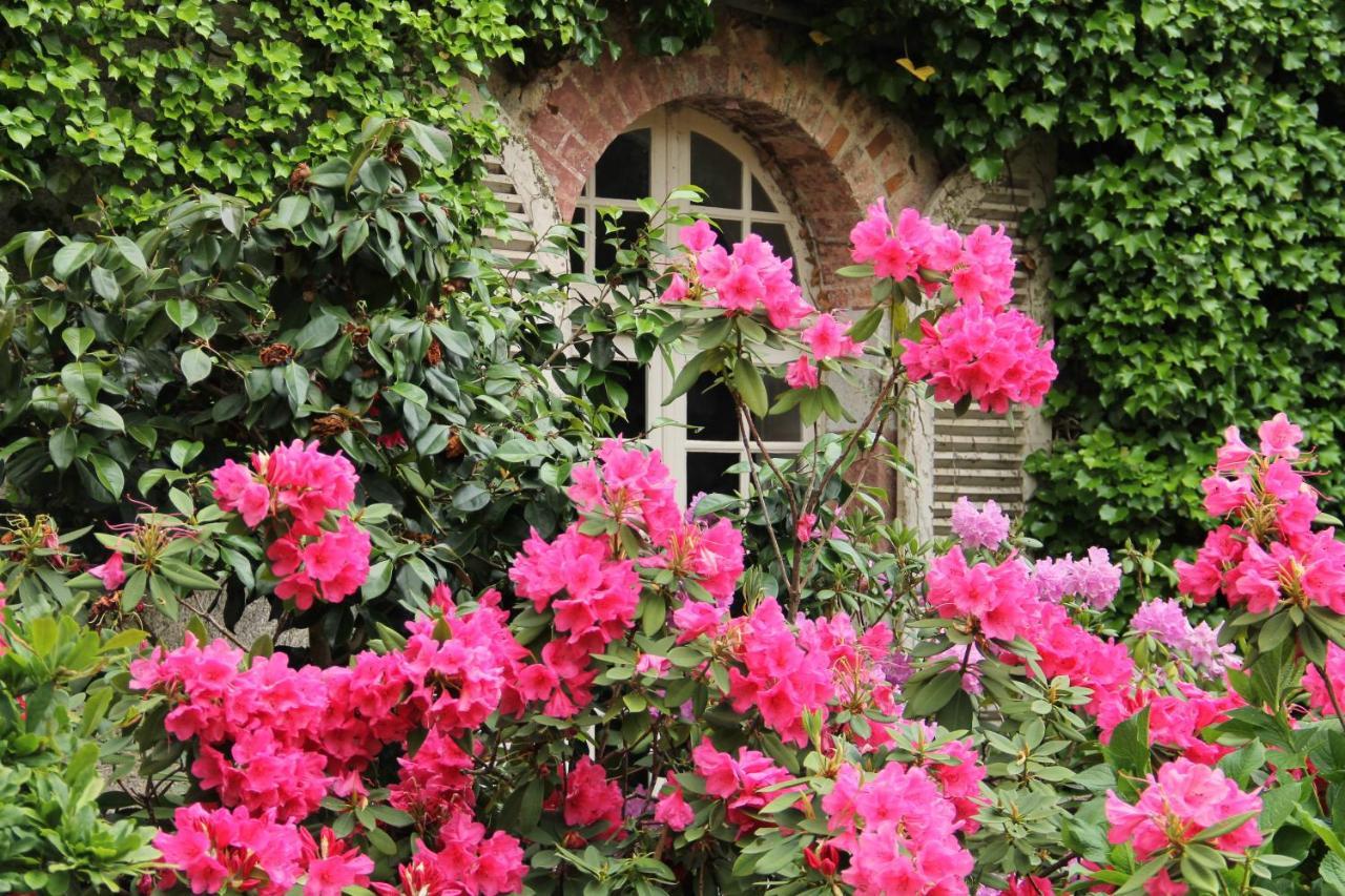 Villa Domaine des Roches Blanches à Le Pin  Extérieur photo