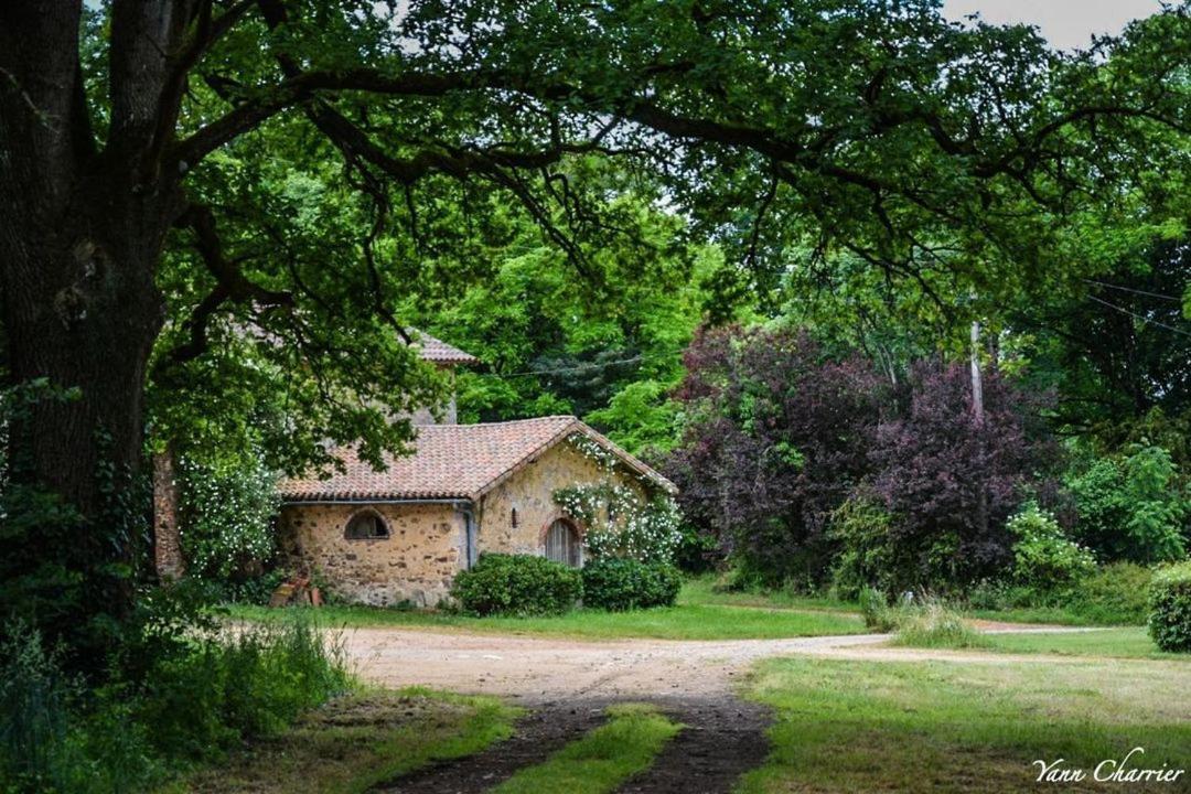 Villa Domaine des Roches Blanches à Le Pin  Extérieur photo