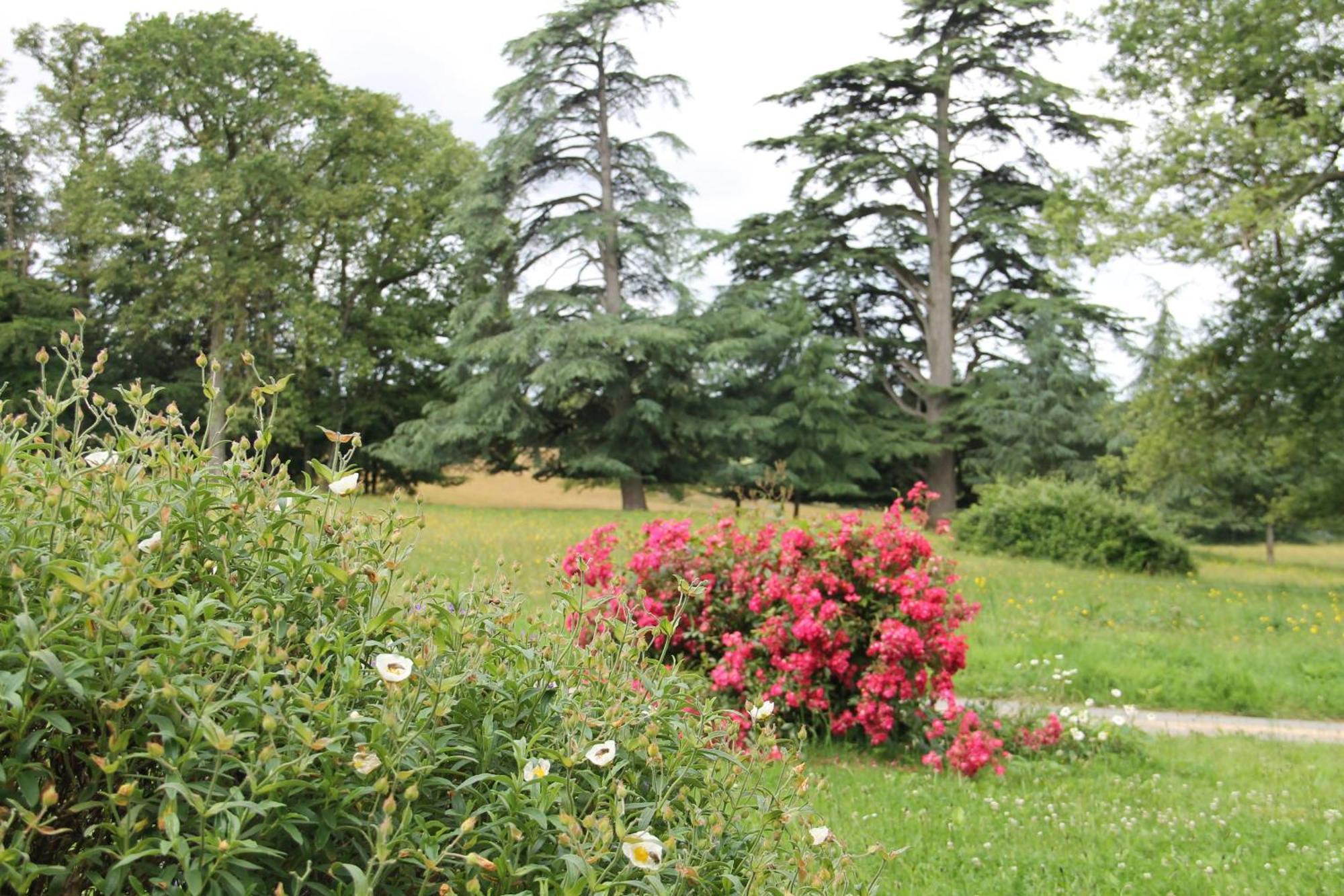 Villa Domaine des Roches Blanches à Le Pin  Extérieur photo
