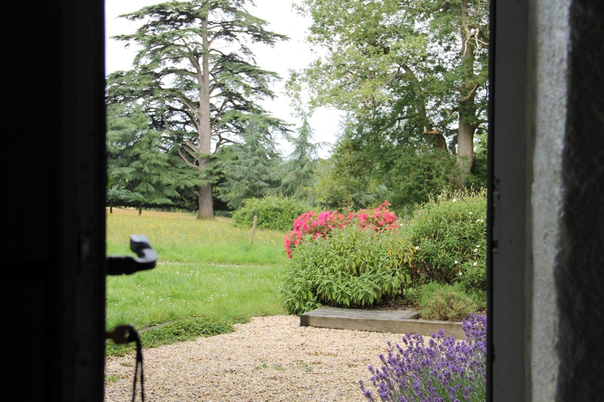 Villa Domaine des Roches Blanches à Le Pin  Extérieur photo