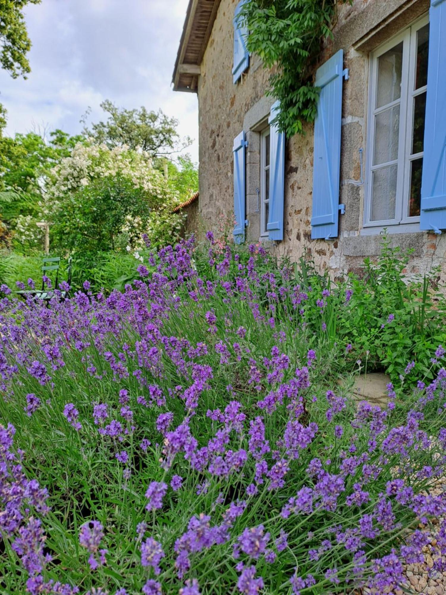 Villa Domaine des Roches Blanches à Le Pin  Extérieur photo