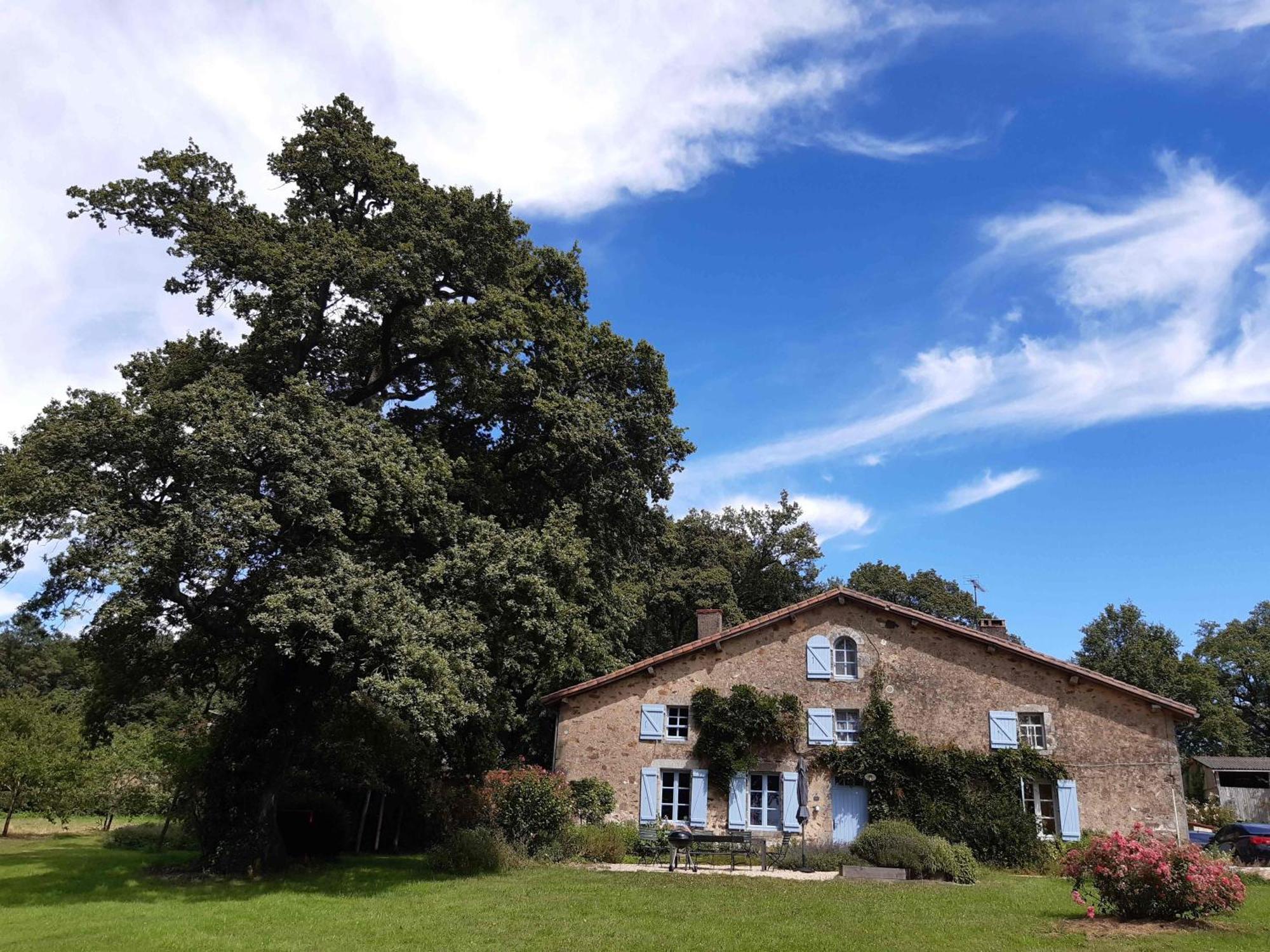 Villa Domaine des Roches Blanches à Le Pin  Extérieur photo