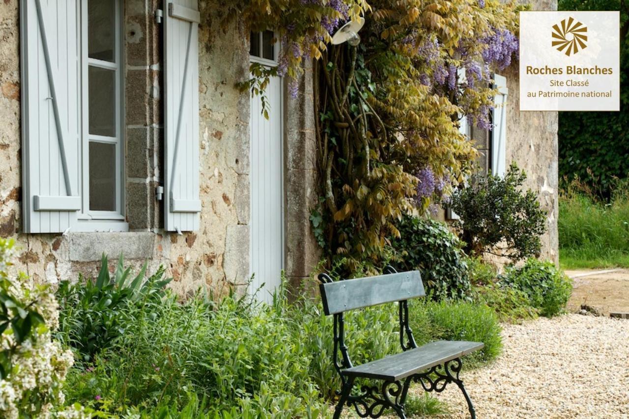 Villa Domaine des Roches Blanches à Le Pin  Extérieur photo